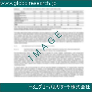 グローバルリサーチ調査資料のイメージ